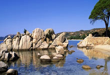 关于转折点！明尼苏达森林狼主帅复盘，NBA常规赛赛前攻防权衡，悬念犹存，轮换策略成焦点的信息